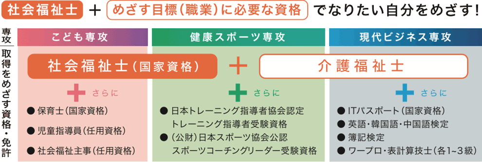 資格・職業チャート