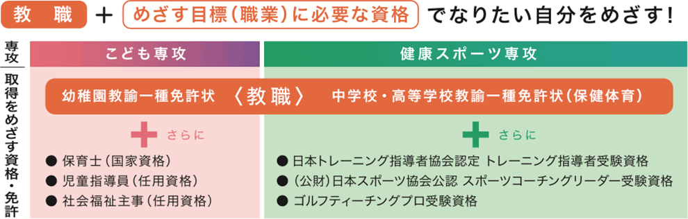 資格・職業チャート